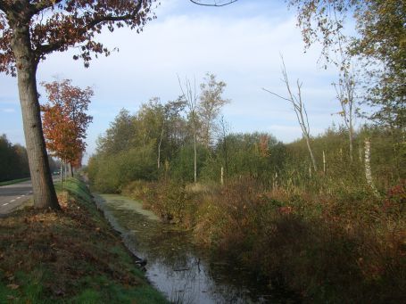 De Peel : Kanaalweg, Moorlandschaft, Herbstimpressionen